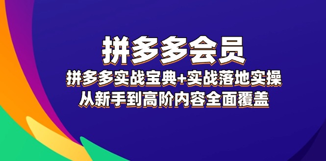 [国内电商]（12056期）拼多多 会员，拼多多实战宝典+实战落地实操，从新手到高阶内容全面覆盖