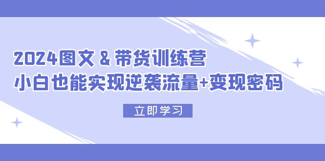 [短视频运营]（12137期）2024 图文+带货训练营，小白也能实现逆袭流量+变现密码-第1张图片-智慧创业网