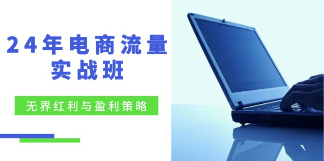 [国内电商]（12168期）24年电商流量实战班：无界 红利与盈利策略，终极提升/关键词优化/精准...