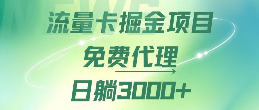 [虚拟项目]（12321期）流量卡掘金代理，日躺赚3000+，变现暴力，多种推广途径