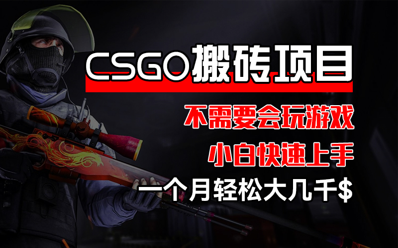 [虚拟项目]（12332期）CSGO 装备搬砖项目，操作简单，不需要会玩游戏，小白也能快速上手，一...