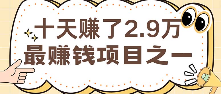 [虚拟项目]（12491期）闲鱼小红书赚钱项目之一，轻松月入6万+项目