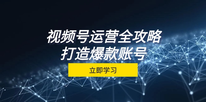 [短视频运营]（12912期）视频号运营全攻略，从定位到成交一站式学习，视频号核心秘诀，打造爆款...