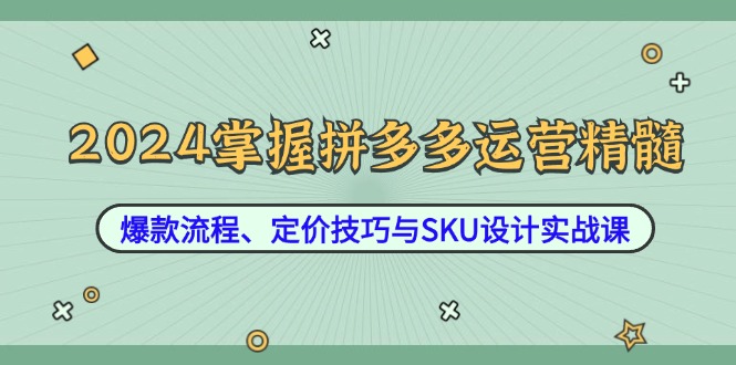 [国内电商]（12703期）2024掌握拼多多运营精髓：爆款流程、定价技巧与SKU设计实战课-第1张图片-智慧创业网