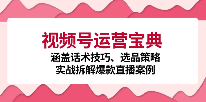 [短视频运营]（12808期）视频号运营宝典：涵盖话术技巧、选品策略、实战拆解爆款直播案例