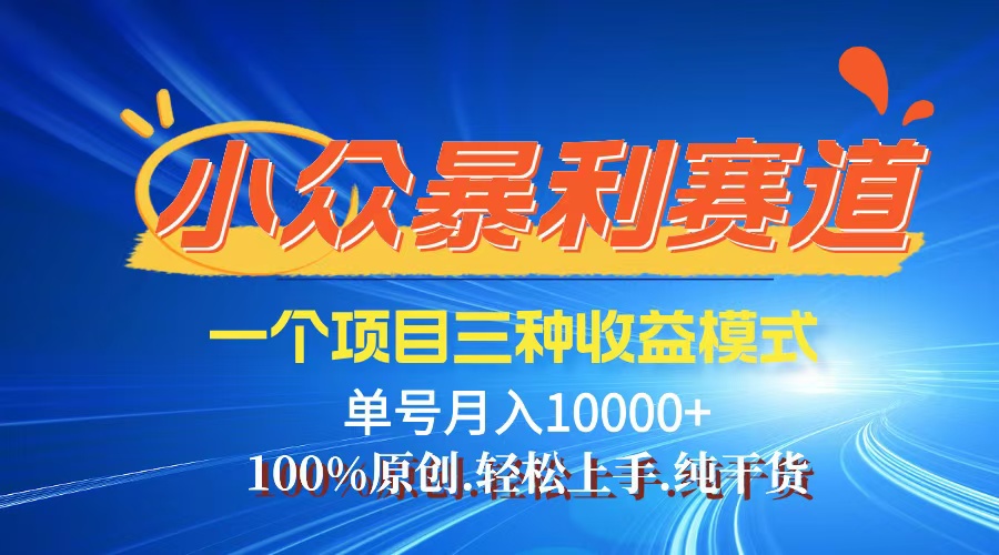 [虚拟项目]（12579期）【老人言】-视频号爆火赛道，三种变现方式，0粉新号调调爆款