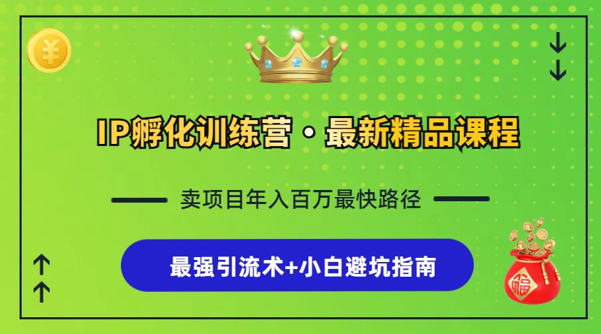 [虚拟项目]（13055期）IP孵化训练营，知识付费全流程+最强引流术+小白避坑指南