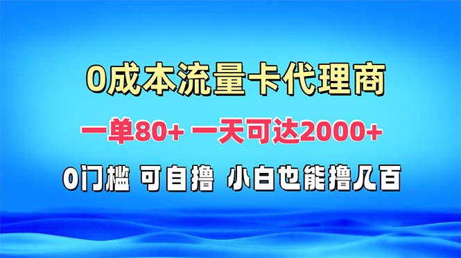 [虚拟项目]（13391期）免费流量卡代理一单80+ 一天可达2000+