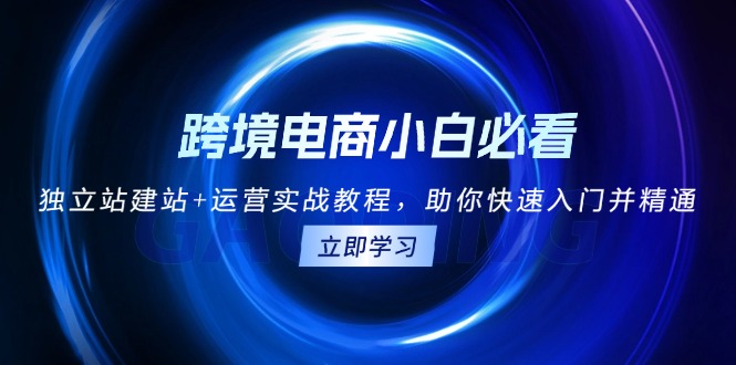 [跨境电商]（13503期）跨境电商小白必看！独立站建站+运营实战教程，助你快速入门并精通-第1张图片-智慧创业网