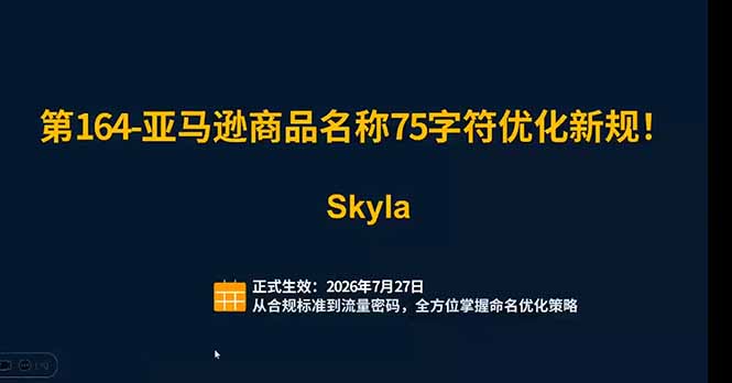 [跨境电商]（19352期）亚马逊跨境实战课：全品类选品逻辑｜SP/SB/SD广告精细化｜新品打爆旺季爆单全套运营教程-第2张图片-智慧创业网